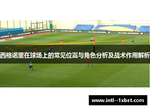 西格诺里在球场上的常见位置与角色分析及战术作用解析