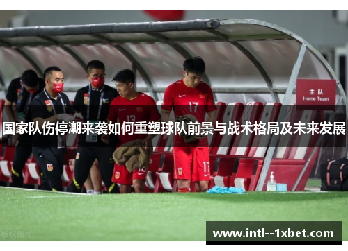 国家队伤停潮来袭如何重塑球队前景与战术格局及未来发展